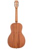 KALASOLID CEDAR TOP PARLOR GUITAR KA-GTR-PLR W/BAGの画像