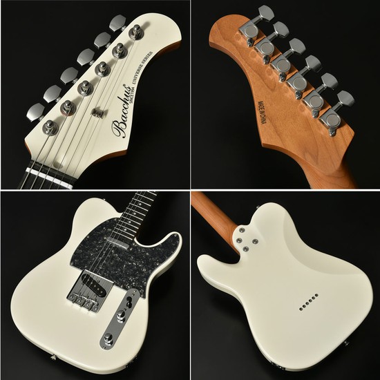 BacchusBTE-1DX RSM/P PWH-MHの画像