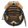 BlackstarSTANDARD CABLEの画像