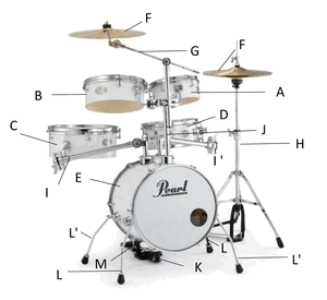 ドラムパーツ リズムトラベラー>Pearl | 楽器の専門店ミュージック ドラムパーツ リズムトラベラー>Pearl | 楽器の専門店ミュージック