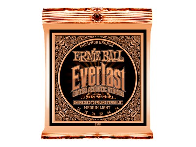 ErnieBallの画像