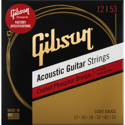 Gibsonの画像