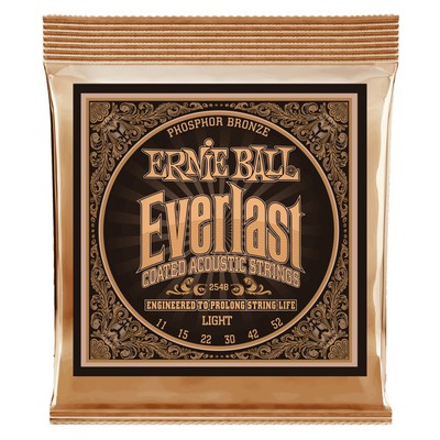 ErnieBallの画像