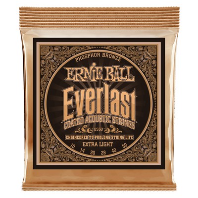 ErnieBallの画像